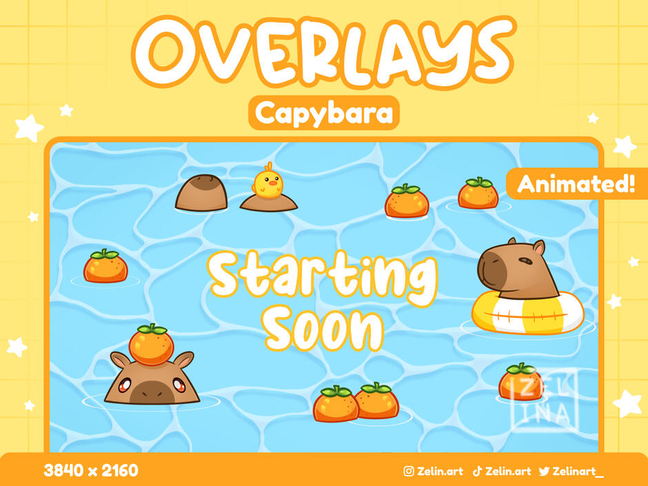 Capybara Overlays - Etsy Listing Capybara Overlays - Etsy Listing