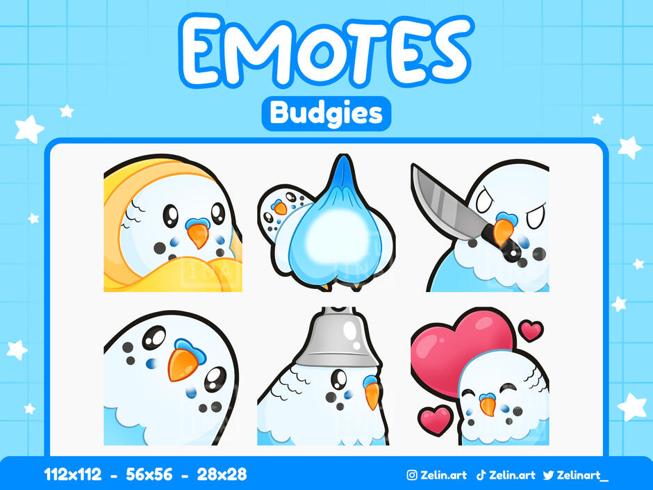 Budgie - Etsy Listing Budgie - Etsy Listing